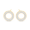 Náušnice z chirurgické oceli, pozlacené 14k, zdobené kroužky se zirkony 1002505