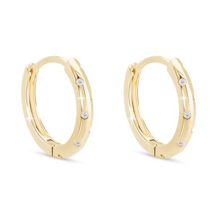 48004 pozlacene nausnice 14k krouzek se zirkony 1003110