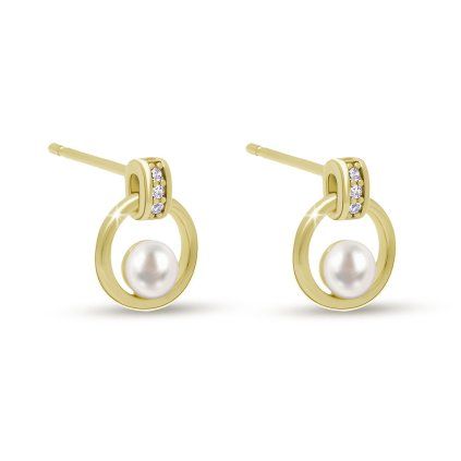 61753 paris 3887 nausnice perlicka