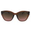 Dámské sluneční brýle, Cat Eye 22209, hnědé barvy 9001399-79