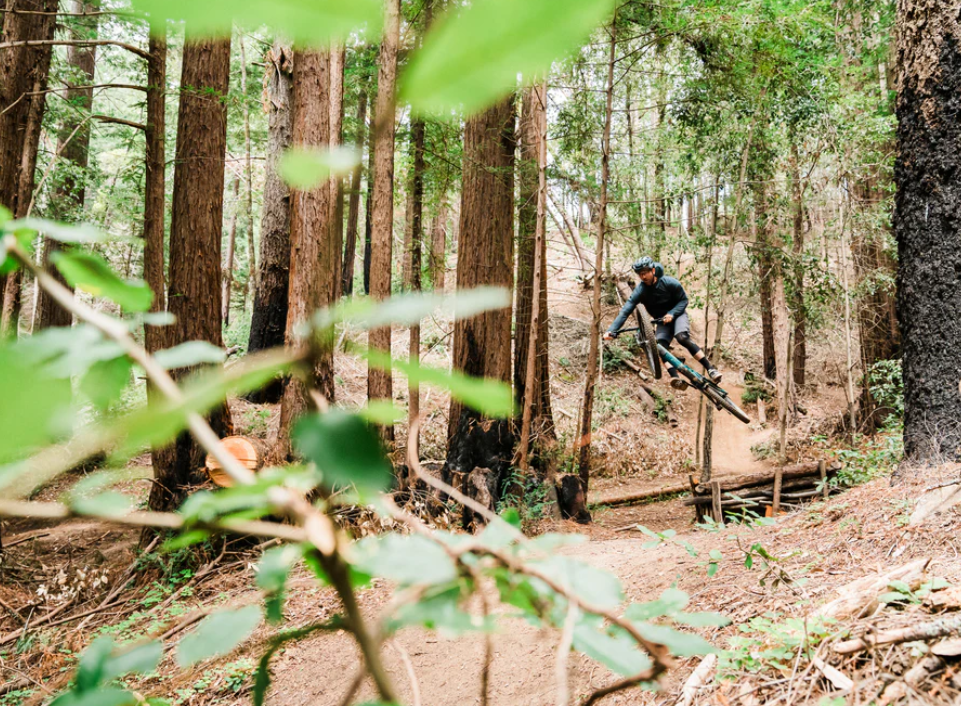 santa-cruz-hightower