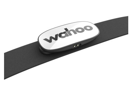 trackr animated blue