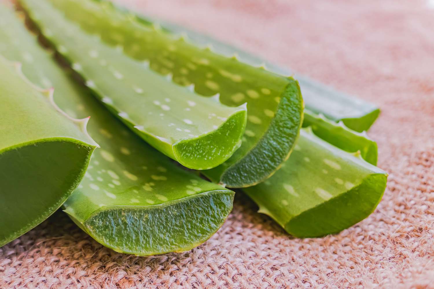 aloe-vera-skincare-for-face-GettyImages-1440183163-226198cc1c394ec6a4d64e0984d7914f