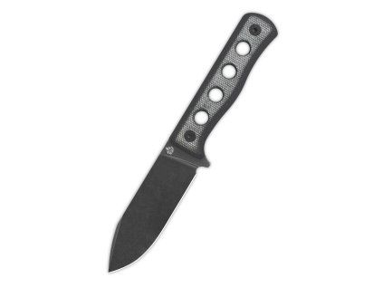 QS155 B2 1