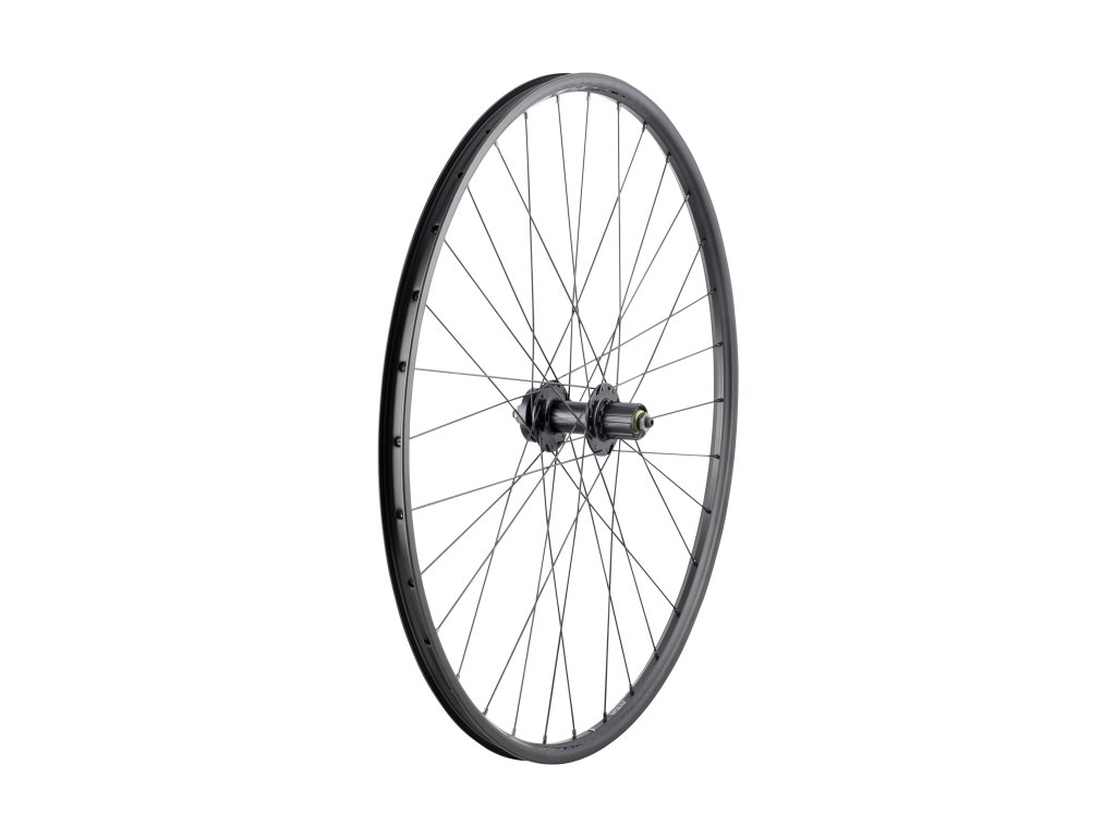 Horské 29palcové kolo Bontrager Connection 6šroubové Disc (SIZE Rear Shimano HG 7-speed, COLOR_NAME černá/tmavě šedá)