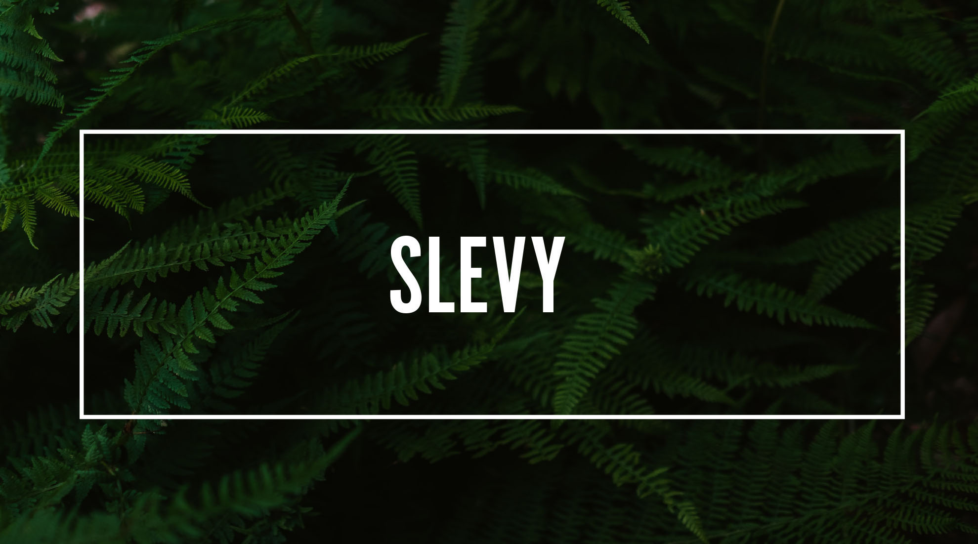 Slevy