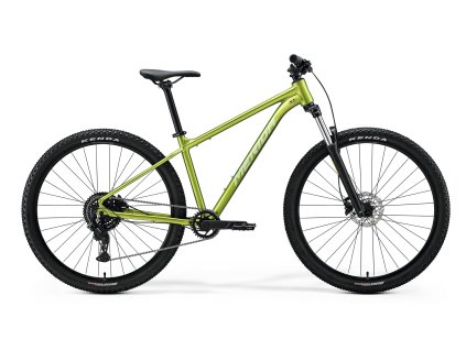 Merida BIG.NINE 20 Fall Green(Silvergreen) zelená