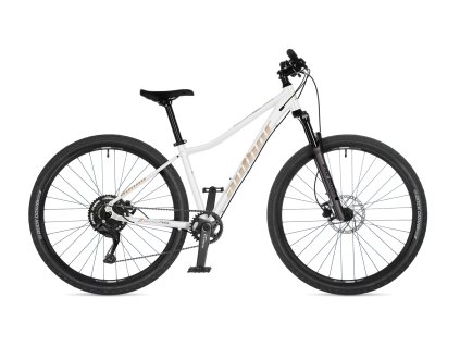 42966511 solution asl