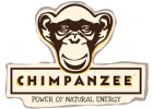 CHIMPANZEE