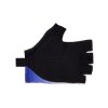 Rukavice SANTINI Luce Violet (Varianta S)