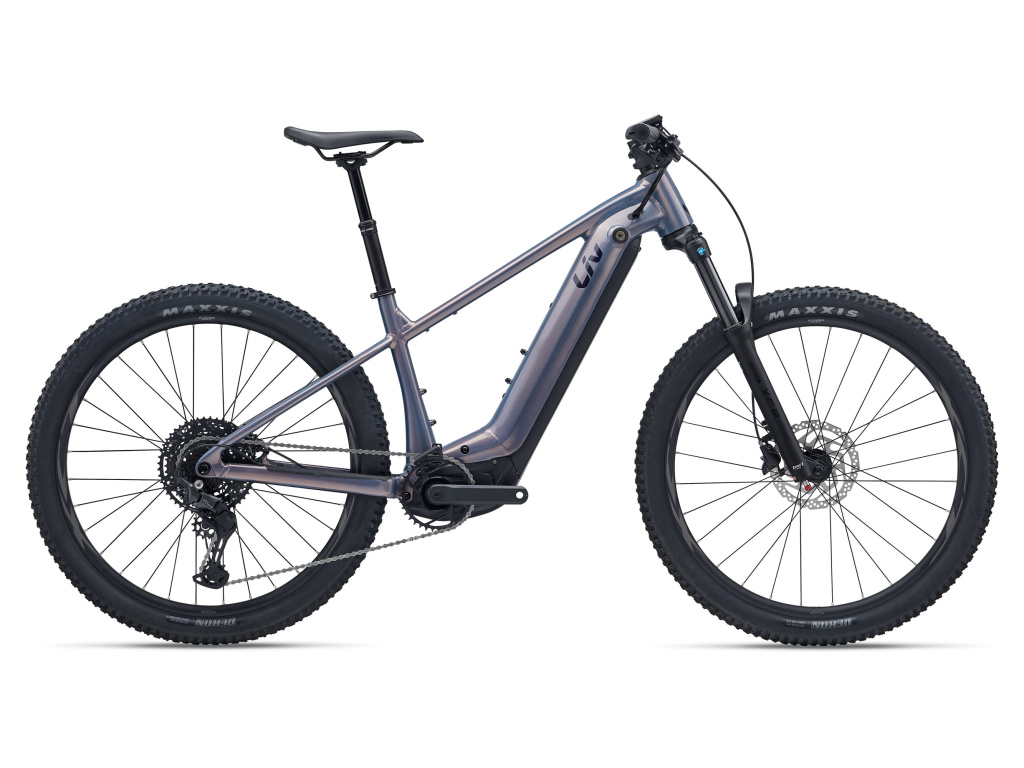 ebike