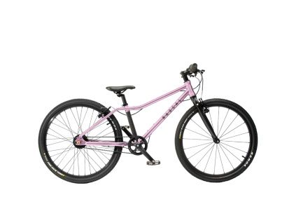 13495 rascal 24 sturmey archer 5s raspberry ruzova