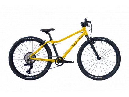 detske lehke kolo rascal 9s 24 gold zlaty bikemax.cz