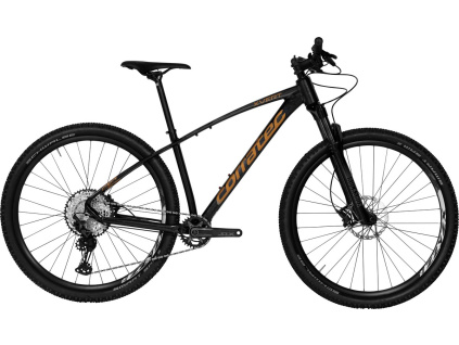 Corratec X-Vert Pro Team 2024