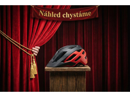 GIRO Insurgent Spherical Mat Black M/L