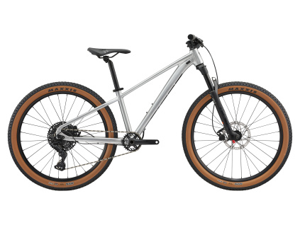 GIANT STP 26-Giant Quicksilver 2025