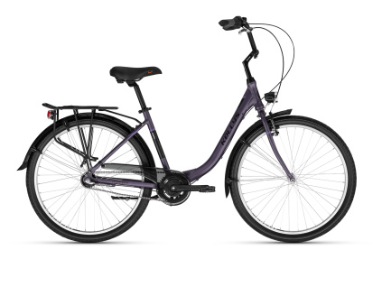 81301 kellystore 25 avery 10 thunderstorm purple