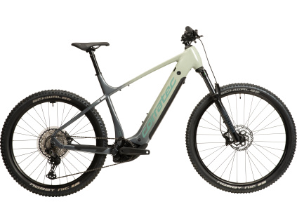 BK31401 E Power X Vert Pro Team Gent 5000px