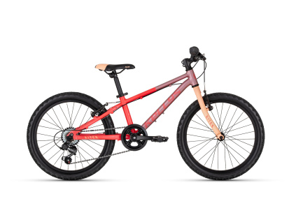 85298 kellystore 26 kiter 30 coral dream 20 tv