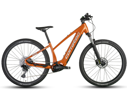 elektrokolo se sníženým nástupem a motorem bafaná