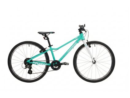 downloaded file (14)