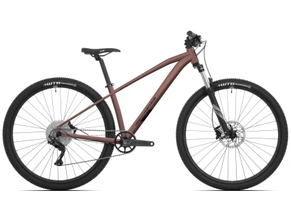 catt brown 2 jpg