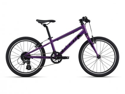 Giant ARX 20 (Purple) 2023/24