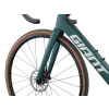 Giant Defy Advanced E+ EL AR  Kelp Forest 2024