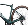 Giant Defy Advanced E+ EL AR  Kelp Forest 2024