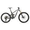 GIANT Reign Advanced 1 Mercury/Raw Carbon 2025