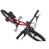 Rascal WILD 20" Red (červená)