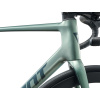 Giant TCR Advanced 0-PC Alpine Green 2026