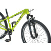 Levit Draco 24" (Lime pearl) 2022