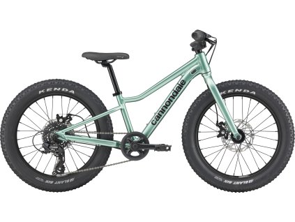 CANNONDALE KIDS TRAIL PLUS 20"