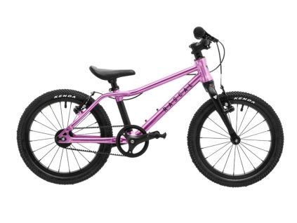 Rascal 16 raspberry