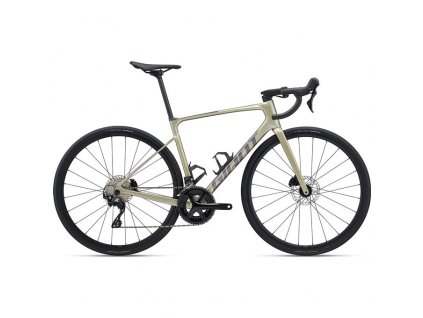 Giant Defy Advanced 2 Bay Leaf 2024