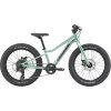 CANNONDALE KIDS TRAIL PLUS 20"