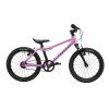 Rascal 16 raspberry