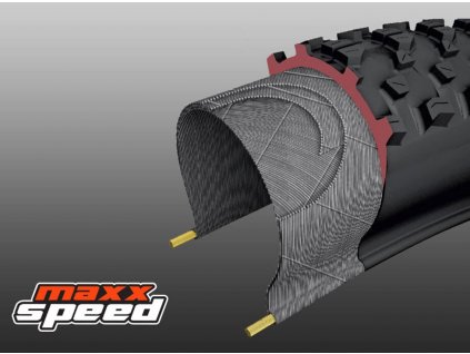 Plášť MAXXIS  Aspen 29 x 2.25 EXO Protection TR, 680g