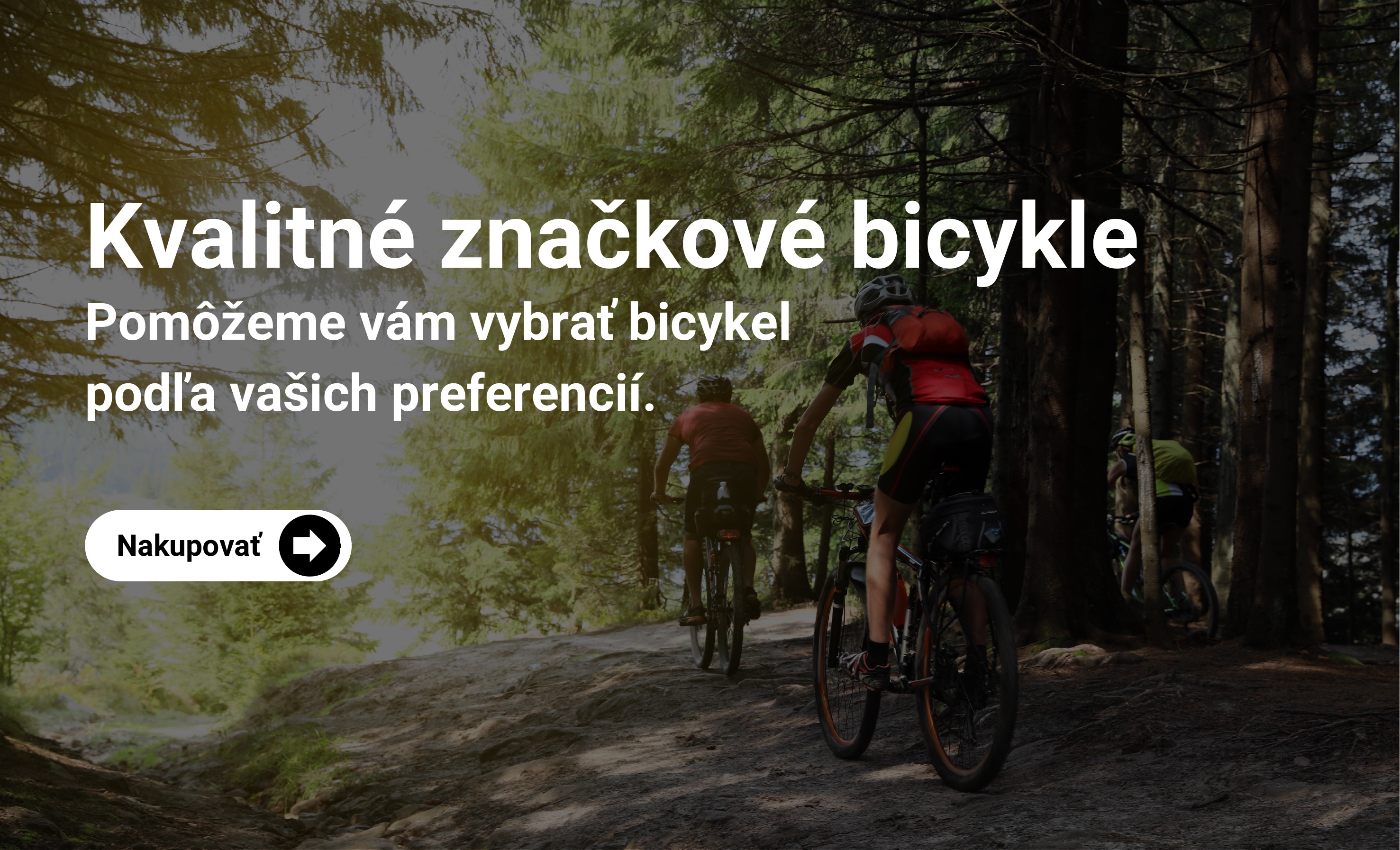 Bicykle