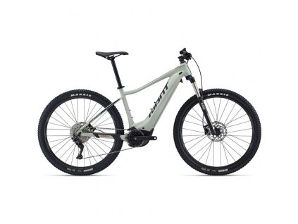 Fathom E+ 2 29er Desert Sage M22