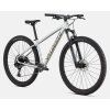 Horské kolo Specialized Rockhopper Expert 2025  Gloss Silver Dust / Satin Burnt Gold Metallic