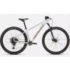 Horské kolo Specialized Rockhopper Expert 2025  Gloss Silver Dust / Satin Burnt Gold Metallic