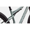 Celoodpružené horské kolo Specialized Epic 9 Expert  Gloss Agave Grey / Metallic White Silver