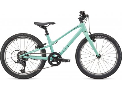 Dětské kolo Specialized Jett 20 2022 gloss oasis forest green