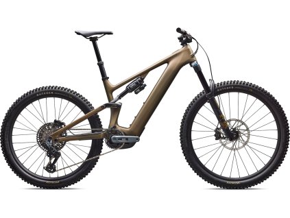 95224 30 LEVO EXPERT CARBON G4 BNTGLDMET DOP HERO