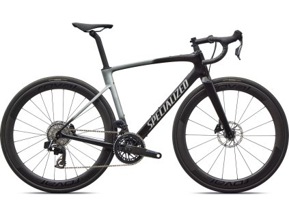 Kolo Specialized Roubaix SL8 Pro 2026 Gloss CarbonShadow Silver
