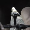 short nose road saddle tempo argo r3 les classiques fizik