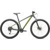 Horské kolo Specialized Rockhopper 29 2025 Gloss Sage Green / Olive Green