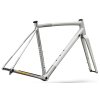 Rámová sada Specialized Crux DSW Frameset 2026 Shadow SilverCalifornia Sunshine (3)